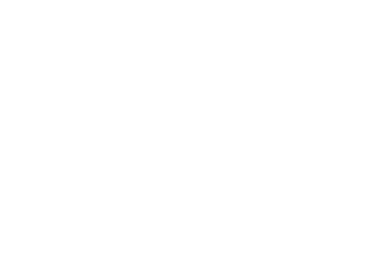 SSS INTL